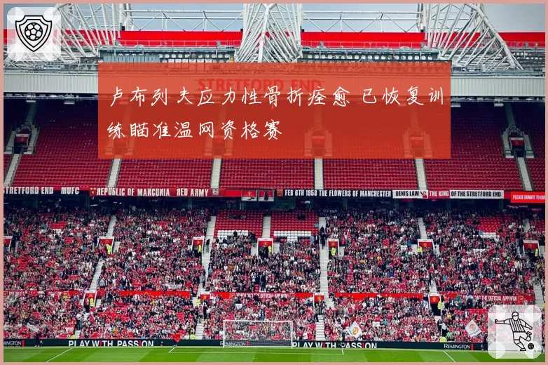 卢布列夫应力性骨折痊愈 已恢复训练瞄准温网资格赛