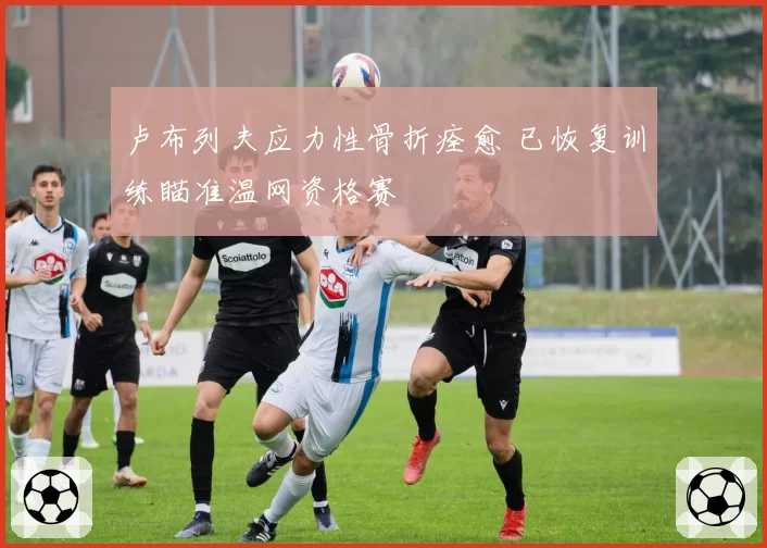 卢布列夫应力性骨折痊愈 已恢复训练瞄准温网资格赛